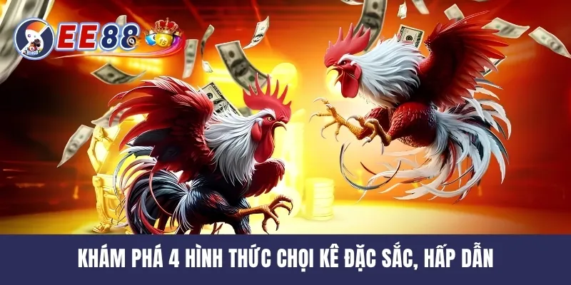 Khám phá 4 hình thức chọi kê đặc sắc, hấp dẫn